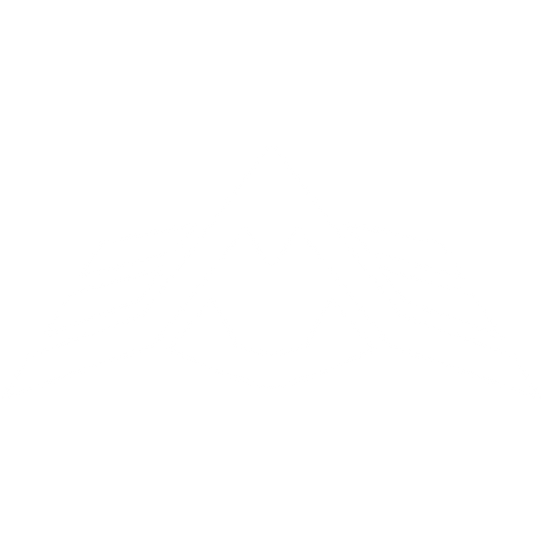 AurumCars